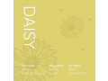 qolory-daisy-parfum-small-1