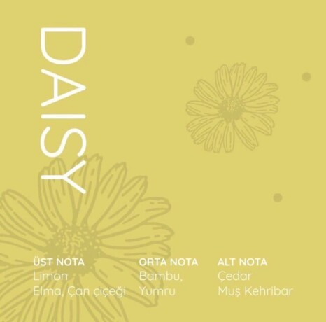 qolory-daisy-parfum-big-1