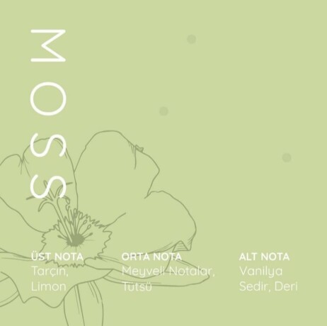 qolory-moss-unisex-edp-100-ml-big-2