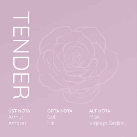 qolory-tender-unisex-edp-100-ml-big-2